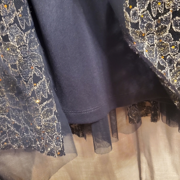 Embroidered Navy Blue Evening Gown - Picture 4 of 9